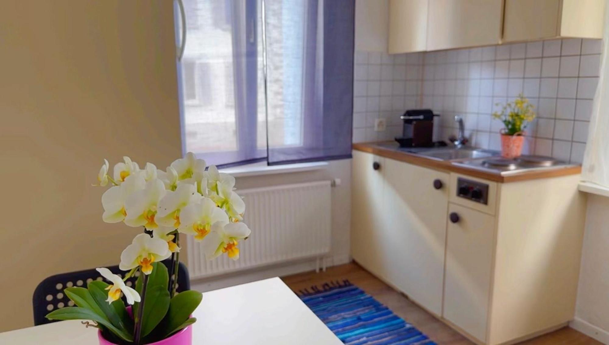 Grandhouse Center Of Switzerland Apartment Olten Bagian luar foto